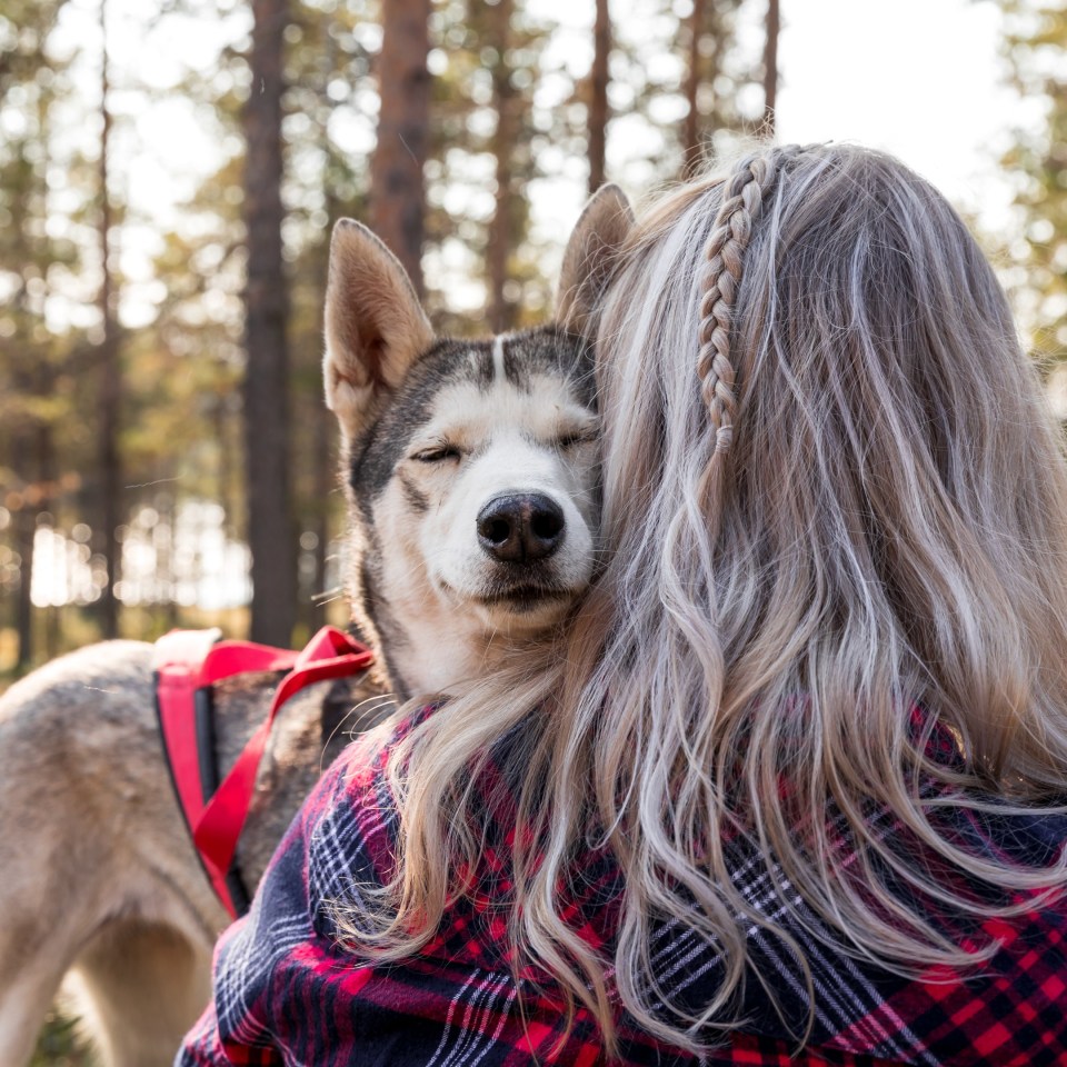 Husky Farm Besuch
